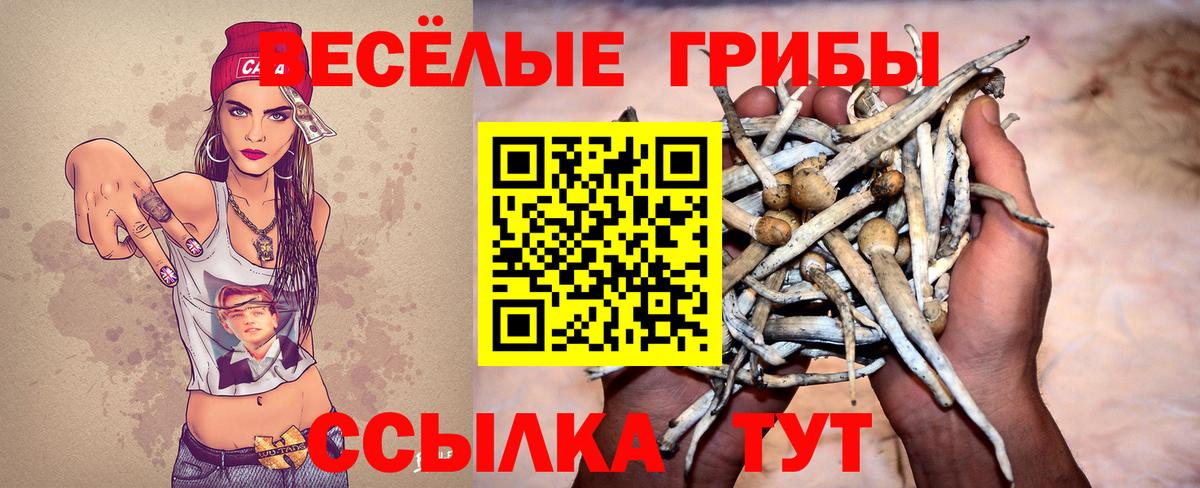 Галлюциногенные грибы Psilocybe  Вход с VPN  Оренбург 